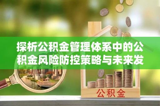 六横探析公积金管理体系中的公积金风险防控策略与未来发展