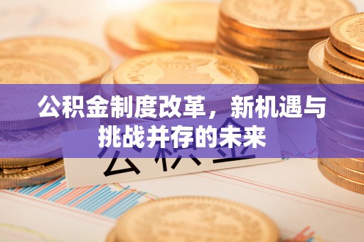 六横公积金制度改革，新机遇与挑战并存的未来