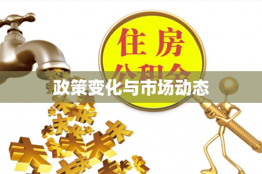 六横政策变化与市场动态