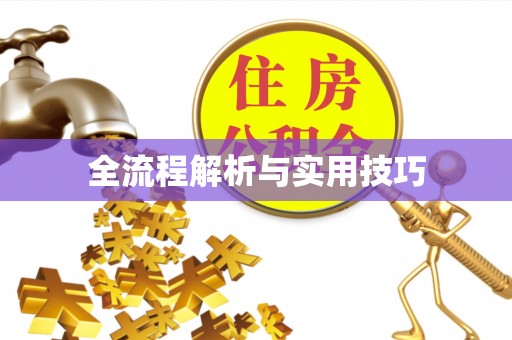 六横全流程解析与实用技巧