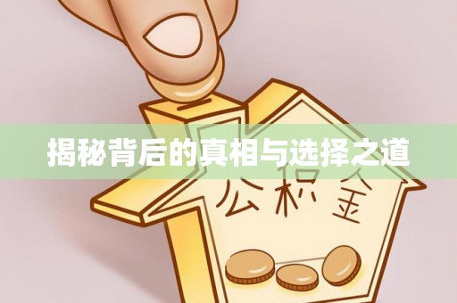 六横揭秘背后的真相与选择之道