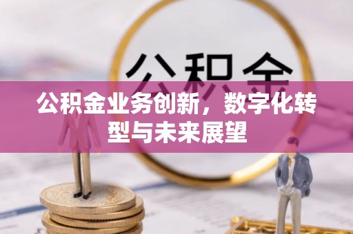 六横公积金业务创新，数字化转型与未来展望