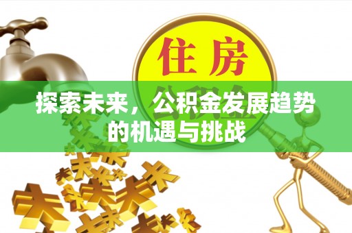 六横探索未来，公积金发展趋势的机遇与挑战