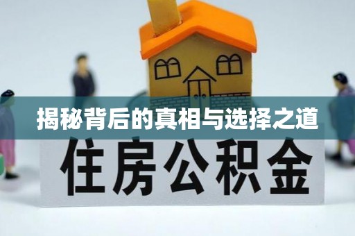六横揭秘背后的真相与选择之道
