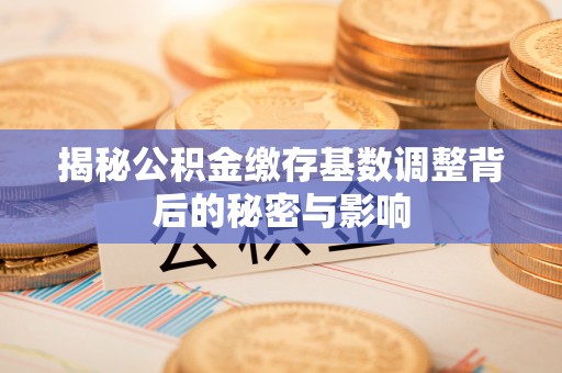 六横揭秘公积金缴存基数调整背后的秘密与影响