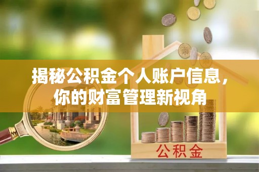 六横揭秘公积金个人账户信息，你的财富管理新视角