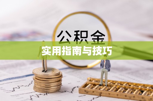 六横实用指南与技巧