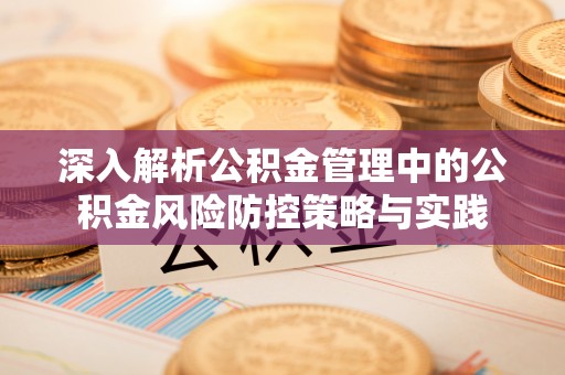 六横深入解析公积金管理中的公积金风险防控策略与实践