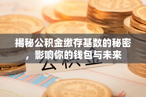 六横揭秘公积金缴存基数的秘密，影响你的钱包与未来