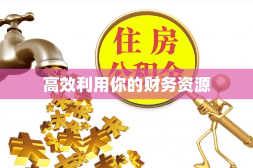 六横高效利用你的财务资源