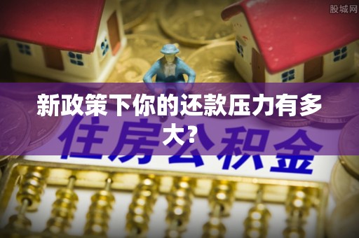 六横新政策下你的还款压力有多大？