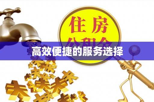 六横高效便捷的服务选择